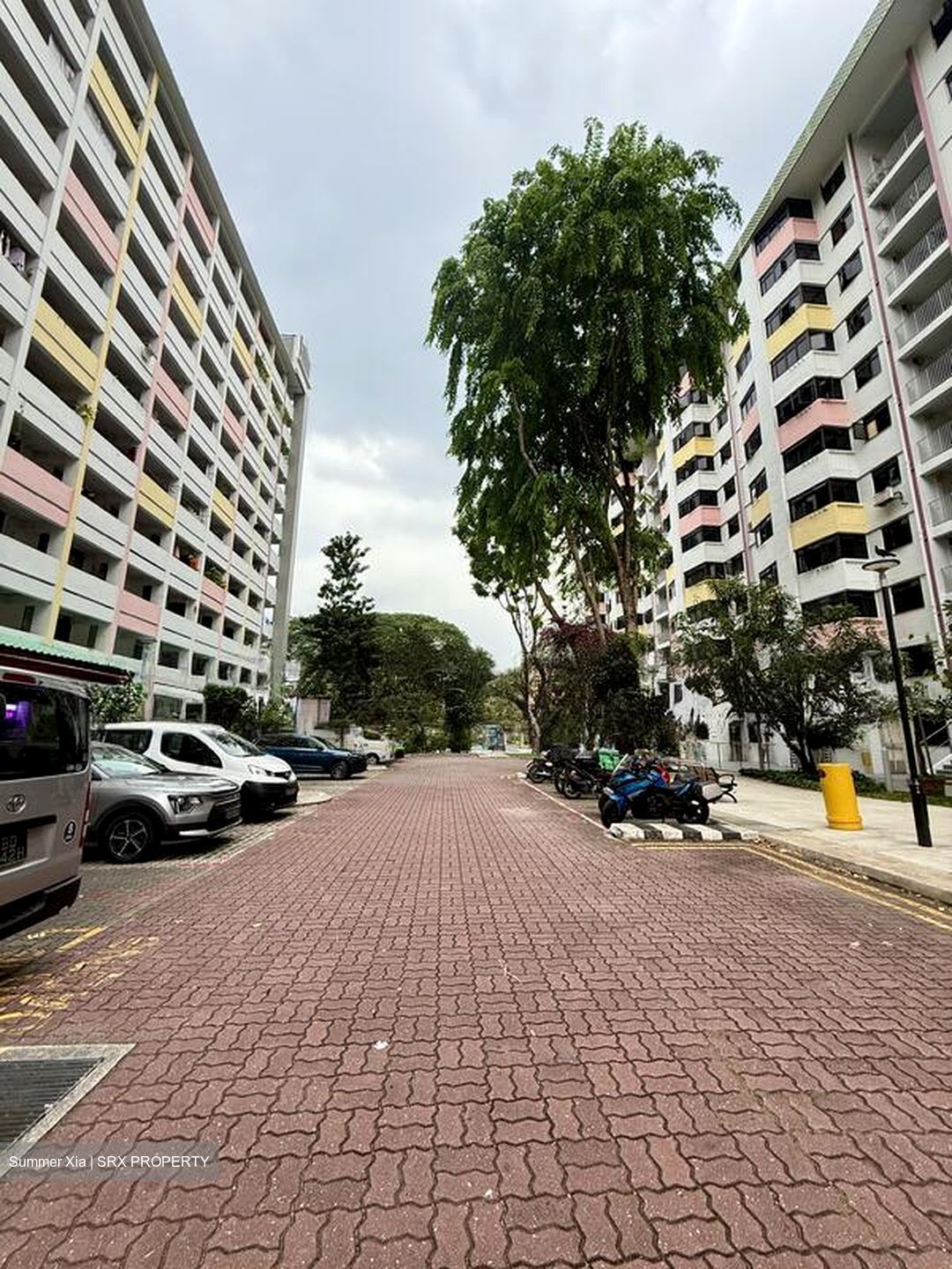 TOA PAYOH COURT (D12), Shop House #503601571